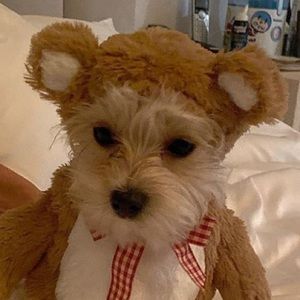 Meet your Posher, Ivana